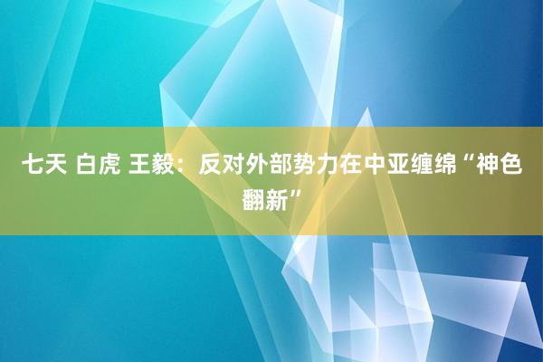 七天 白虎 王毅：反对外部势力在中亚缠绵“神色翻新”