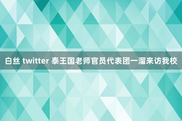 白丝 twitter 泰王国老师官员代表团一溜来访我校