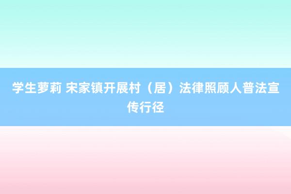 学生萝莉 宋家镇开展村（居）法律照顾人普法宣传行径