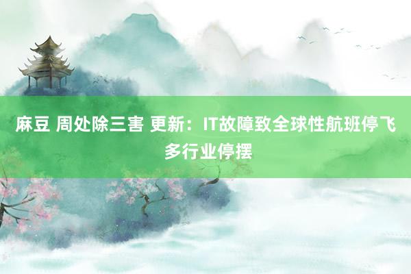 麻豆 周处除三害 更新：IT故障致全球性航班停飞 多行业停摆