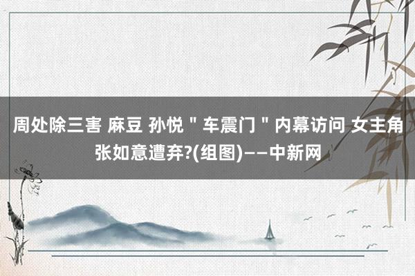 周处除三害 麻豆 孙悦＂车震门＂内幕访问 女主角张如意遭弃?(组图)——中新网