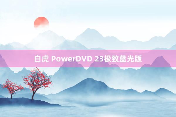 白虎 PowerDVD 23极致蓝光版