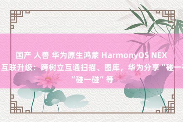 国产 人兽 华为原生鸿蒙 HarmonyOS NEXT 5.0 互联升级：跨树立互通扫描、图库，华为分享“碰一碰”等