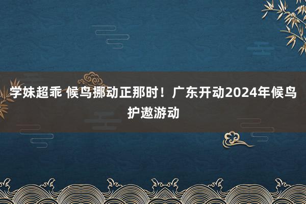 学妹超乖 候鸟挪动正那时！广东开动2024年候鸟护遨游动