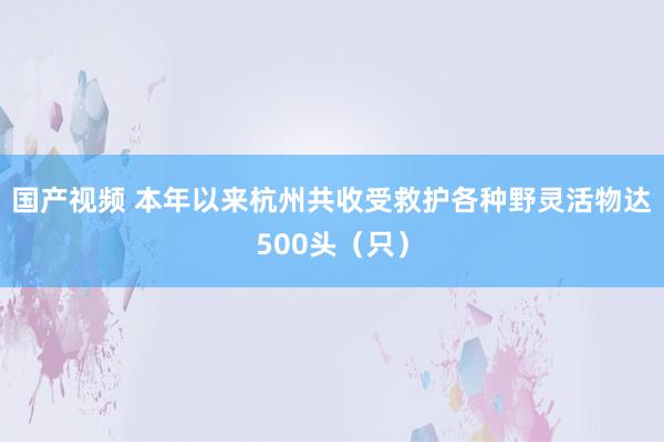 国产视频 本年以来杭州共收受救护各种野灵活物达500头（只）