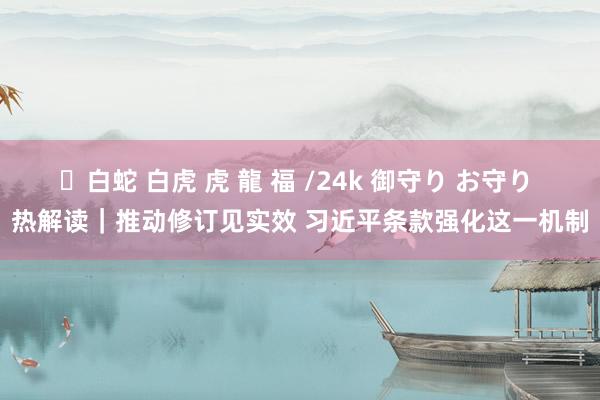 ✨白蛇 白虎 虎 龍 福 /24k 御守り お守り 热解读｜推动修订见实效 习近平条款强化这一机制